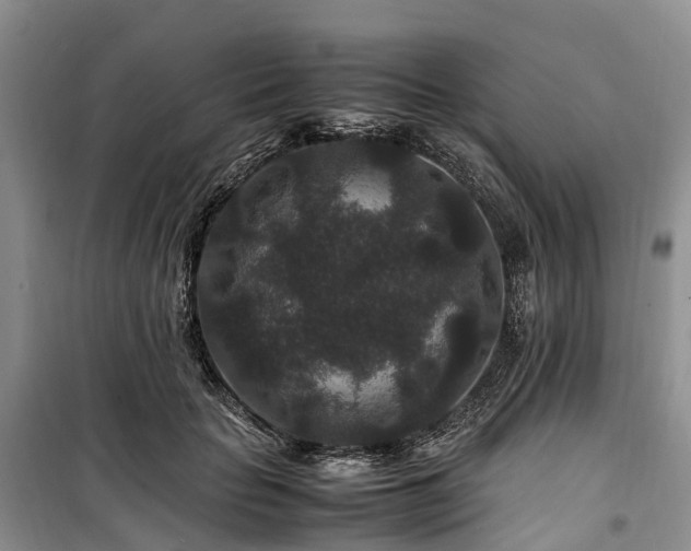 X0000100380653200806131100