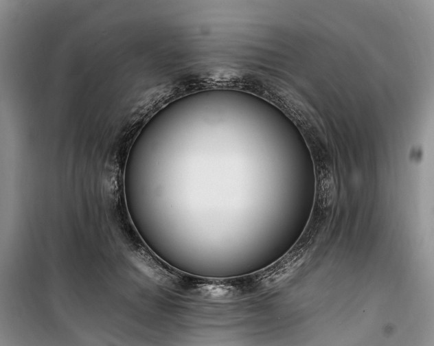 X0000100380654200806131100