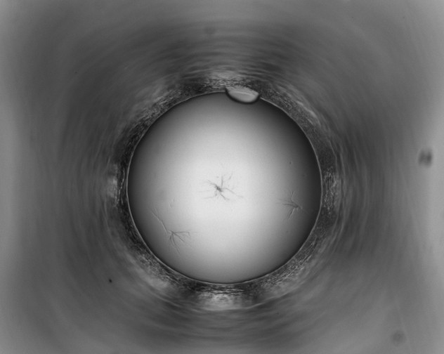 X0000100380655200806131100