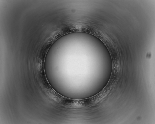 X0000100380656200806131100