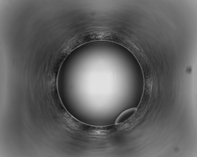 X0000100380657200806131100