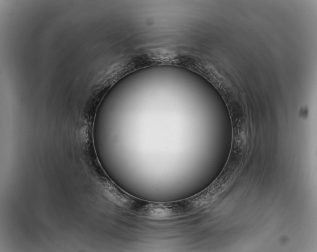 X0000100380658200806131100