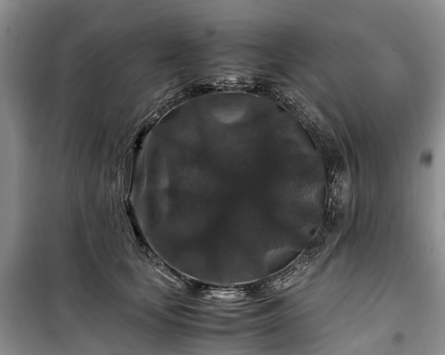 X0000100380659200806131100