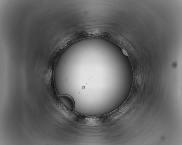 X0000100380660200806131100