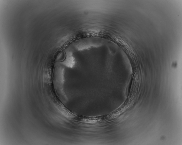 X0000100380661200806131101
