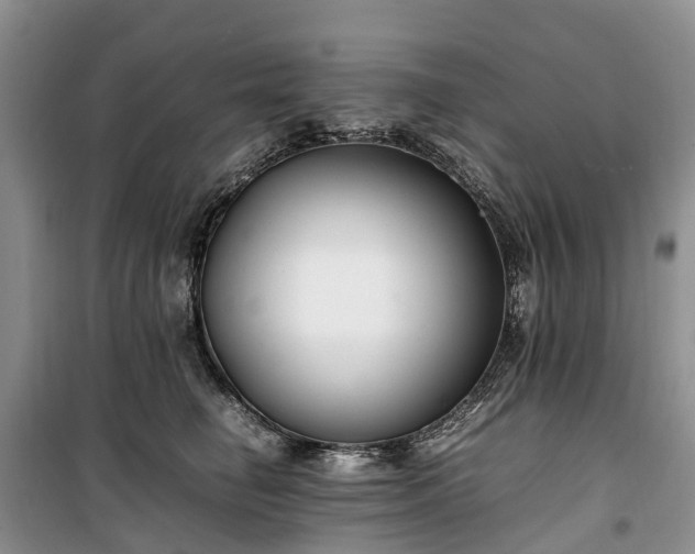 X0000100380662200806131101