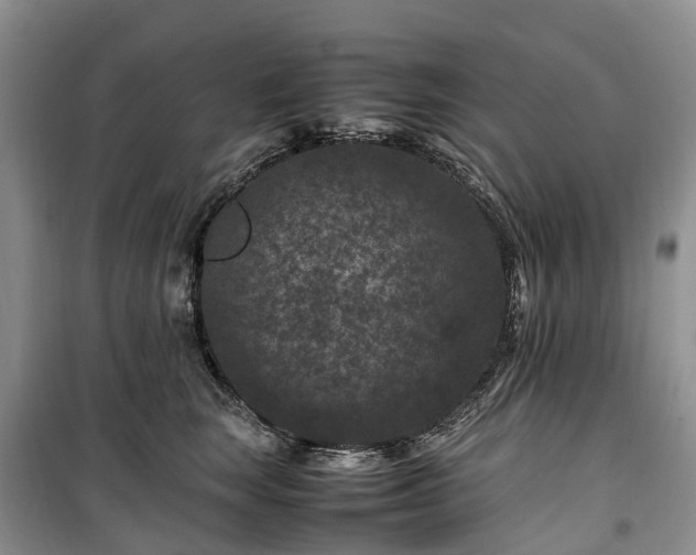 X0000100380663200806131101