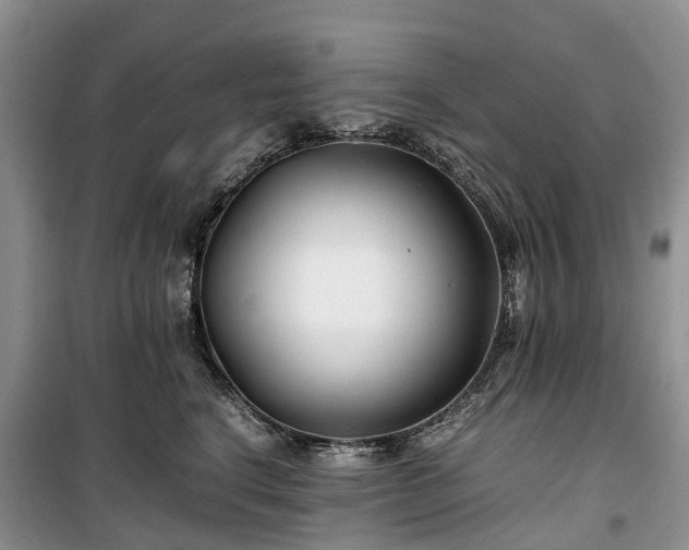 X0000100380664200806131101