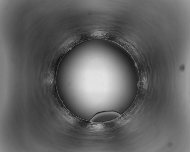 X0000100380665200806131101