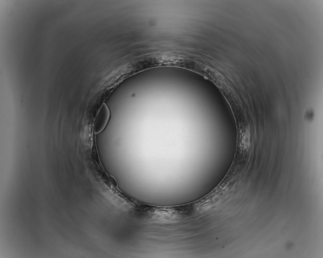 X0000100380666200806131101
