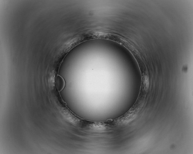 X0000100380668200806131101