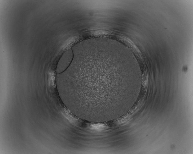 X0000100380669200806131101