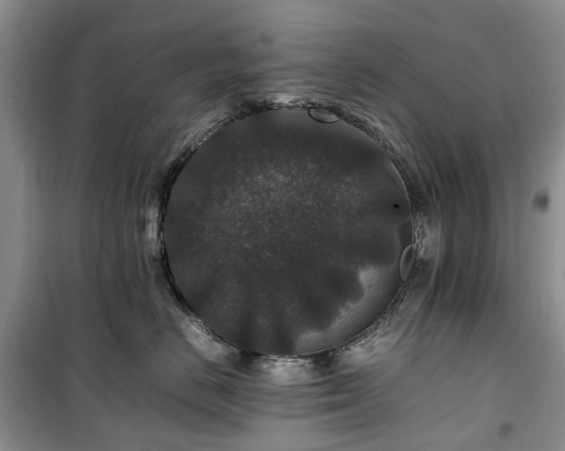 X0000100380670200806131101