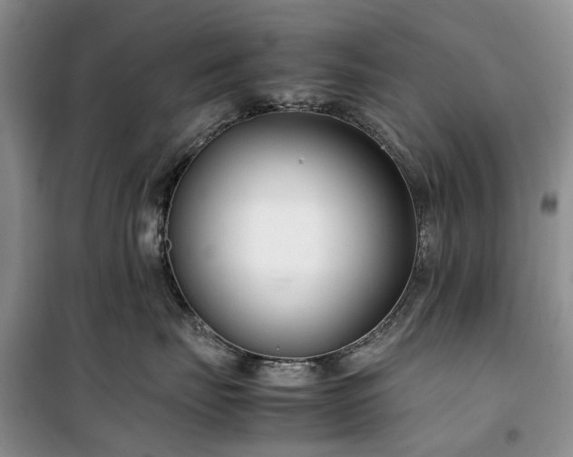 X0000100380671200806131101