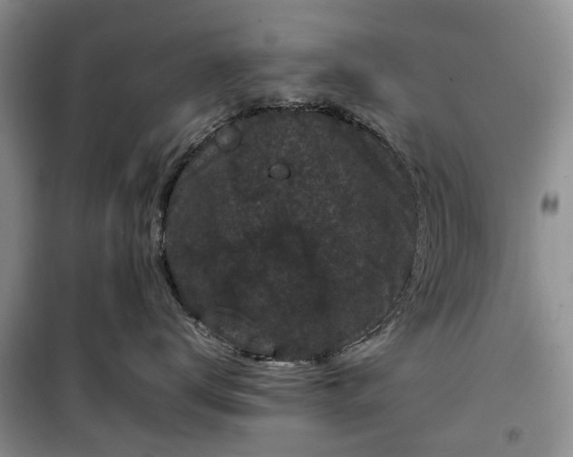 X0000100380672200806131101