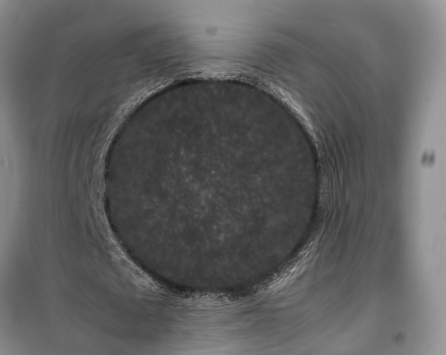 X0000100380673200806131100