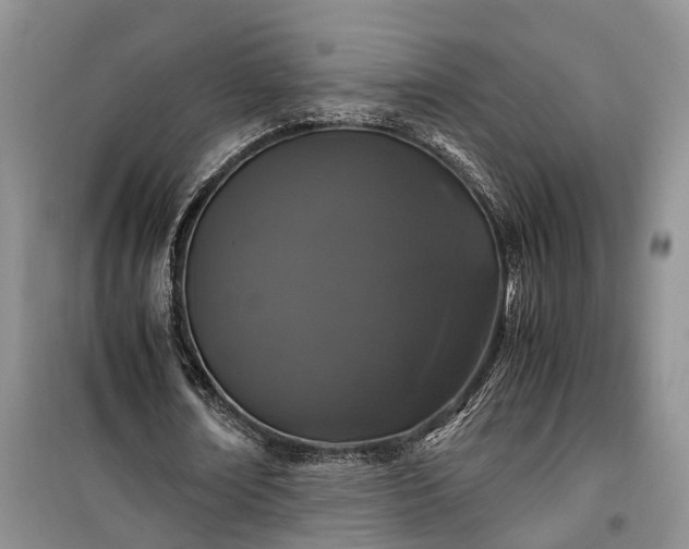 X0000100380674200806131100