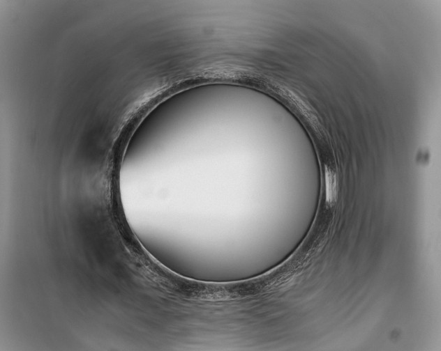 X0000100380675200806131100
