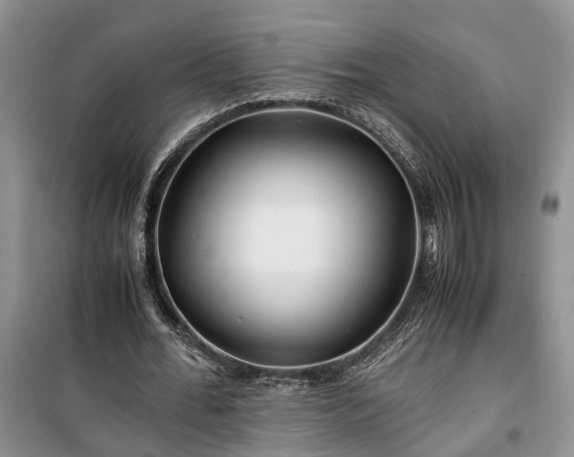 X0000100380676200806131100