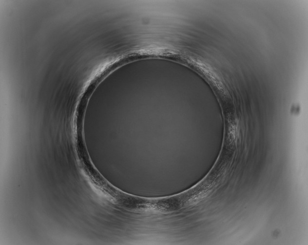 X0000100380678200806131100