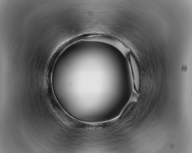 X0000100380680200806131100