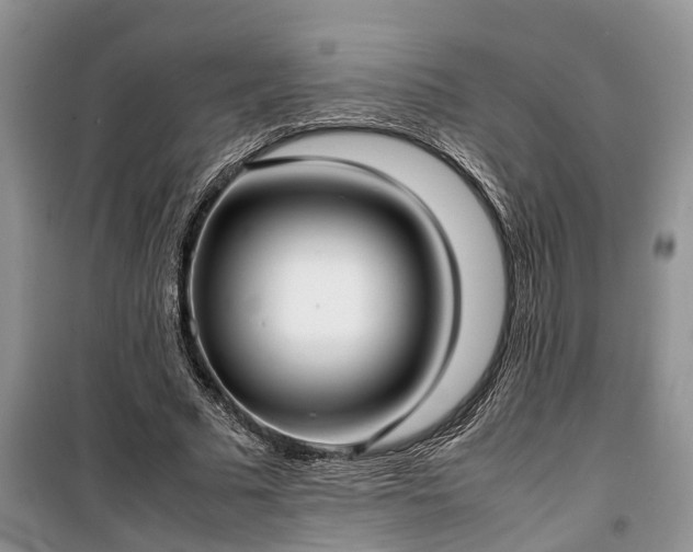 X0000100380681200806131100