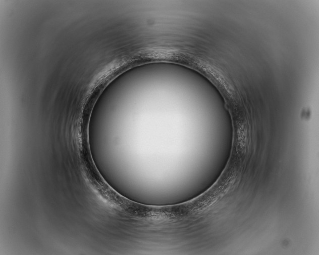 X0000100380682200806131100