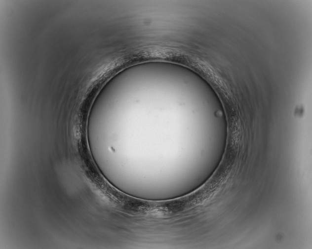 X0000100380683200806131100