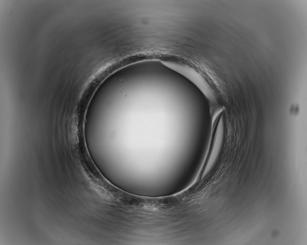 X0000100380684200806131100