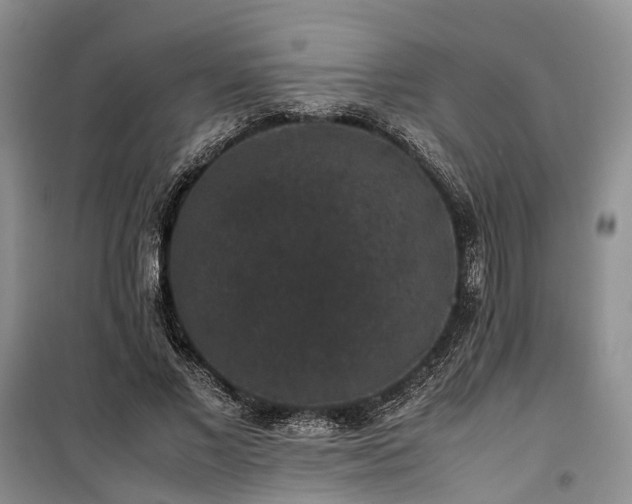 X0000100380685200806131100