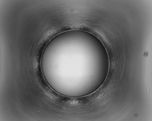 X0000100380687200806131100