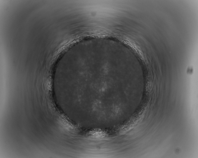 X0000100380689200806131100