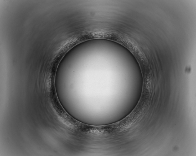 X0000100380690200806131100