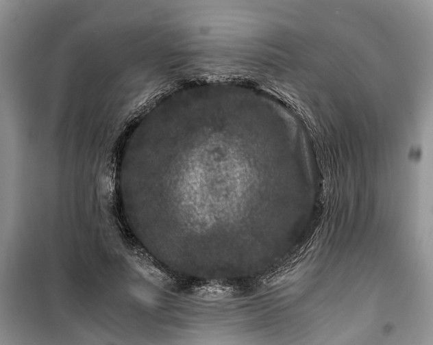 X0000100380691200806131100