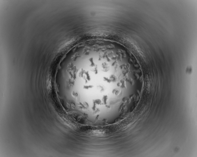 X0000100380692200806131100