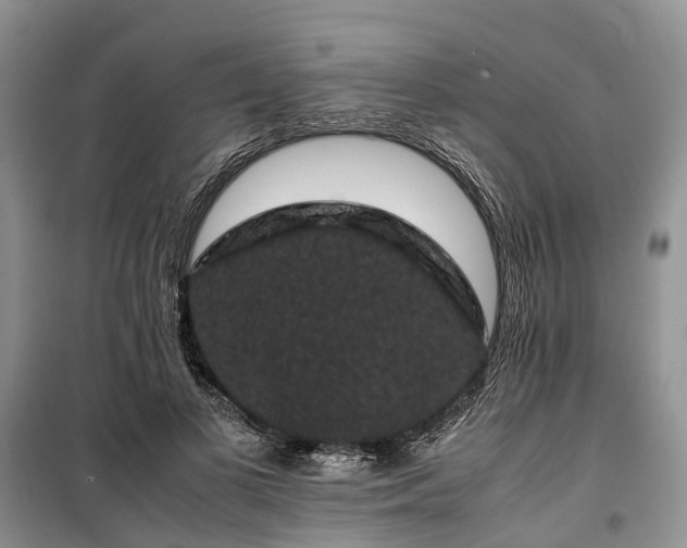 X0000100380693200806131100