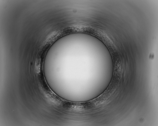 X0000100380694200806131100