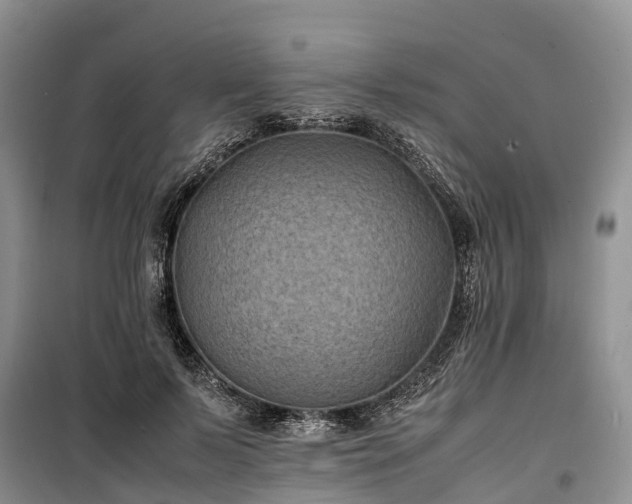 X0000100380695200806131100