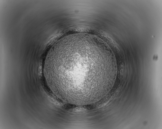 X0000100380696200806131100