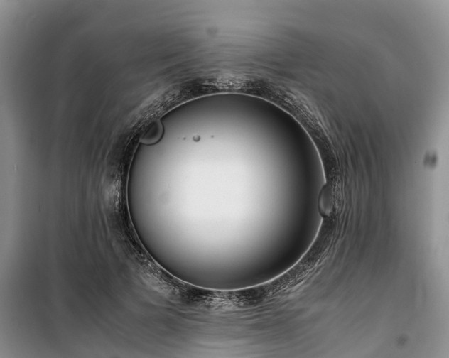X0000100380697200806131100