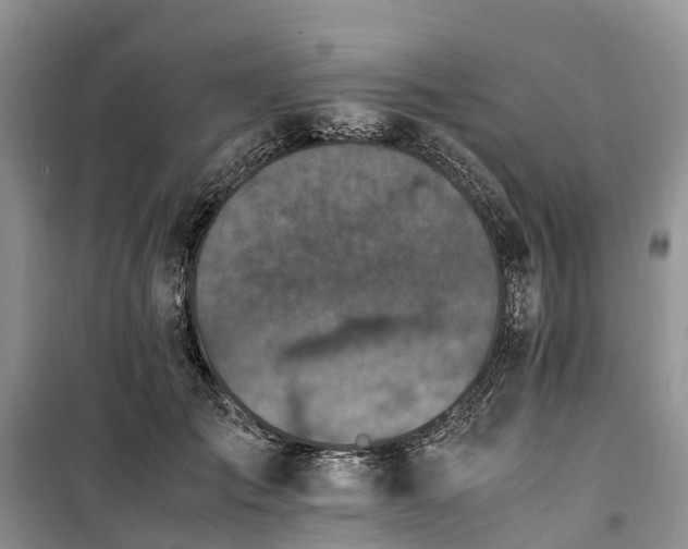 X0000100380701200806131100