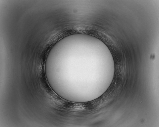 X0000100380702200806131059