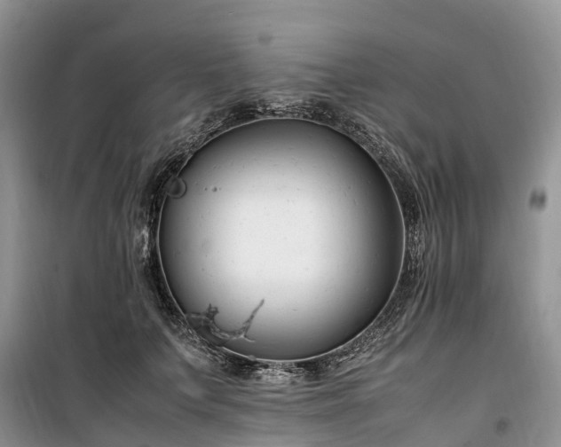 X0000100380703200806131059