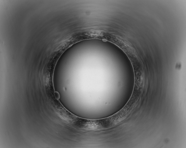 X0000100380704200806131059