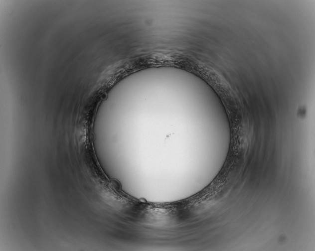 X0000100380706200806131059