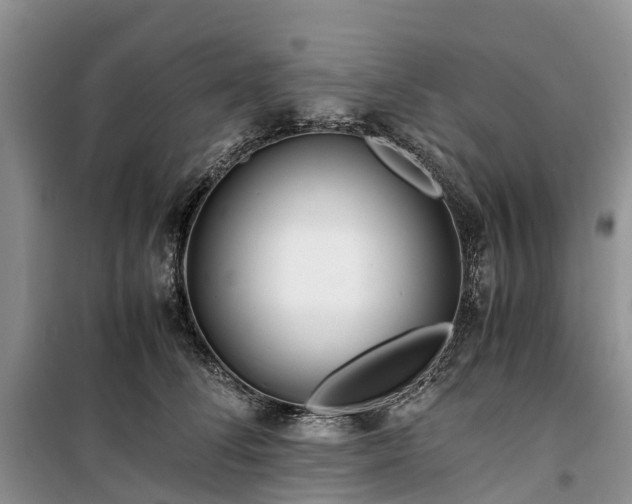 X0000100380708200806131059