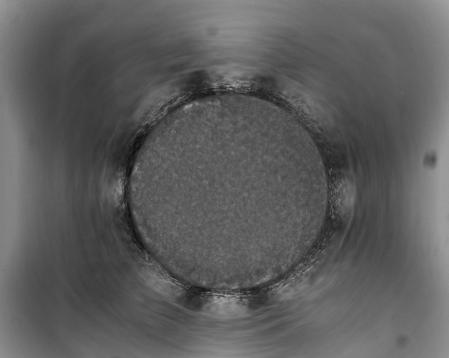 X0000100380709200806131059
