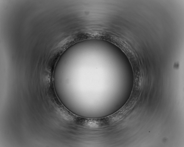 X0000100380710200806131059