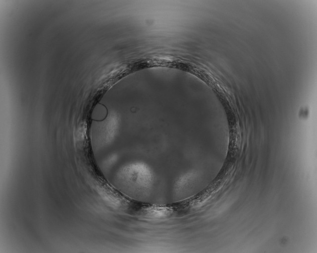 X0000100380711200806131059