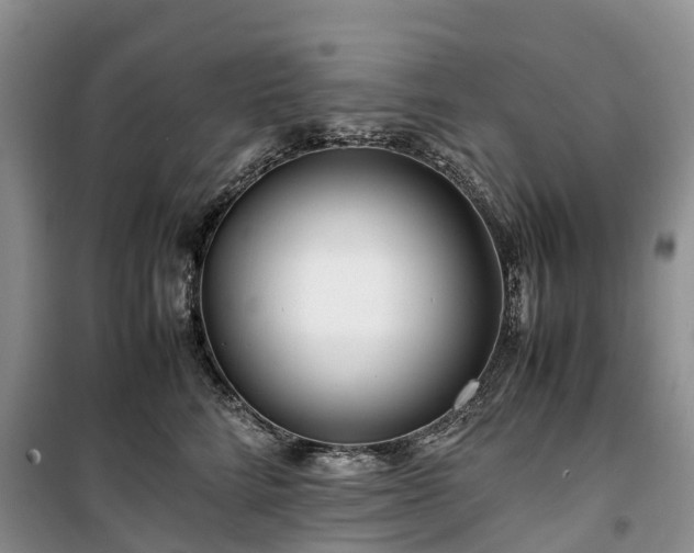X0000100380712200806131059